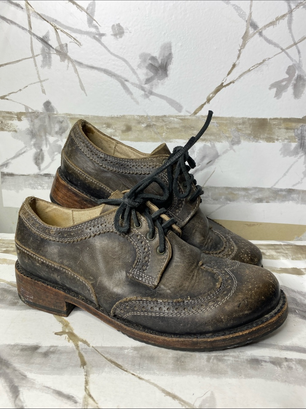 Freebird by Steven Winston Oxfords